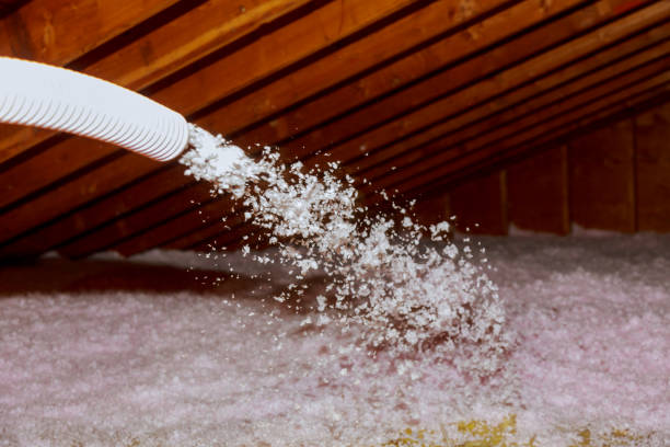 Best Spray Foam Insulation  in Bluewell, WV
