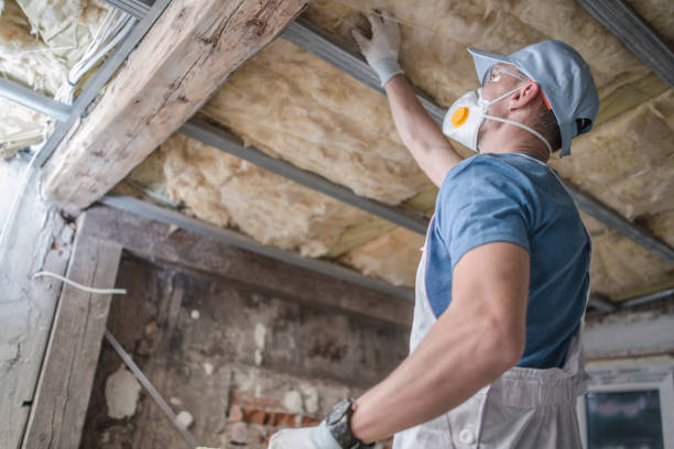 Best Energy-efficient Insulation  in Bluewell, WV