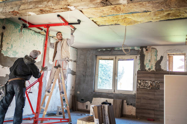 Best Insulation Removal Services  in Bluewell, WV