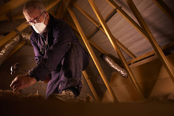 Best Insulation Replacement Services  in Bluewell, WV
